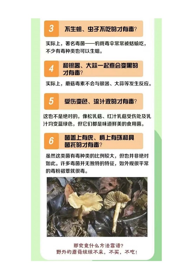 你好毒，你好毒，你好毒毒毒毒毒！_页面_4.jpg