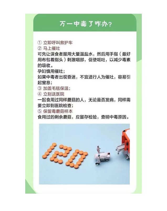 你好毒，你好毒，你好毒毒毒毒毒！_页面_5.jpg