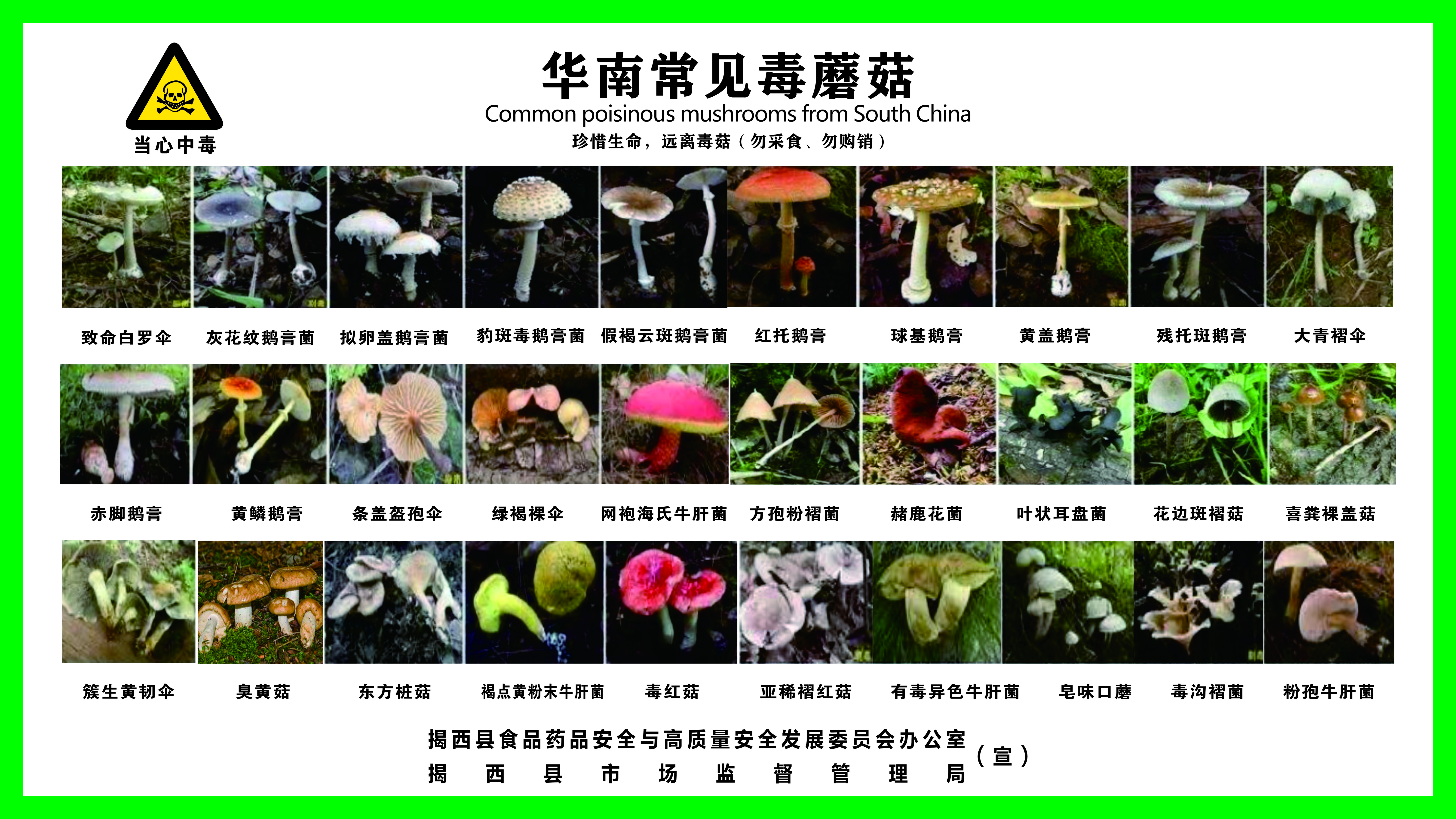 微信图片_20240511150719.jpg